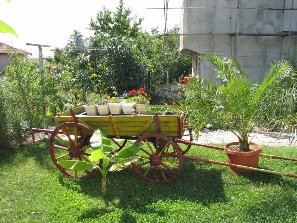Guest House Rusalka Byala  Dış mekan fotoğraf